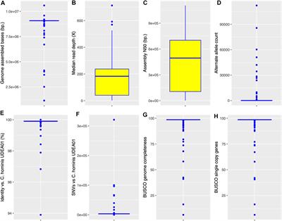 Cryptosporidium hominis Phylogenomic Analysis Reveals Separate Lineages With Continental Segregation